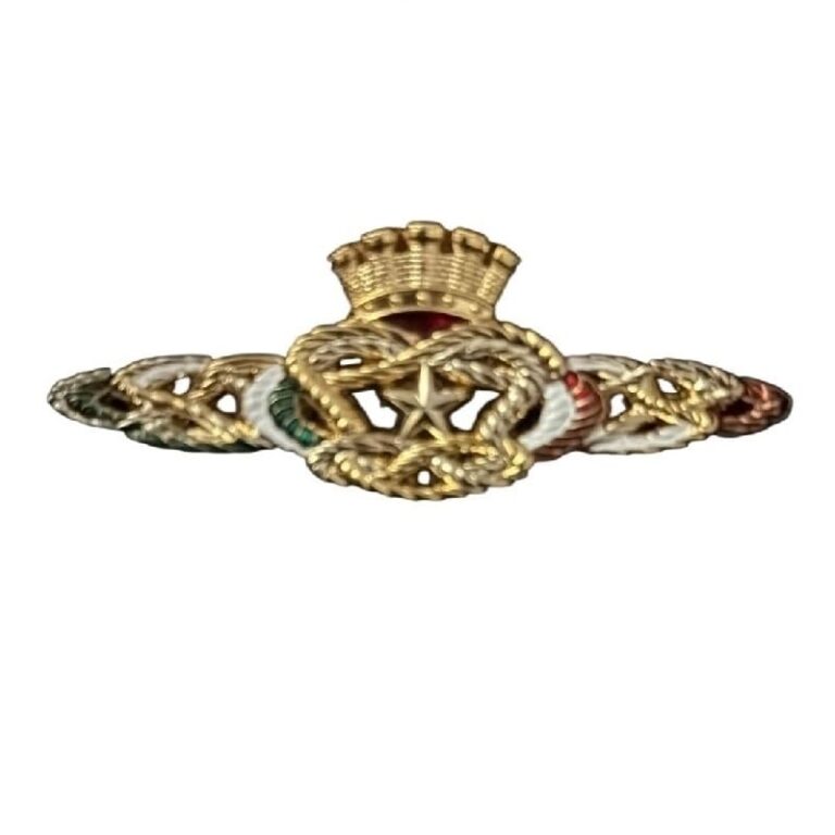 Distintivo d'Onore Forze Armate in Congedo, fregio da giacca con scatola