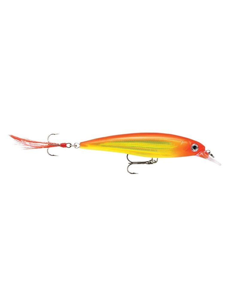 X-Rap XR04 HH artificiale jerkbait Rapala 4 cm