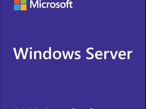 Microsoft Windows Server 2022 User CAL OEM — Licenza di accesso client