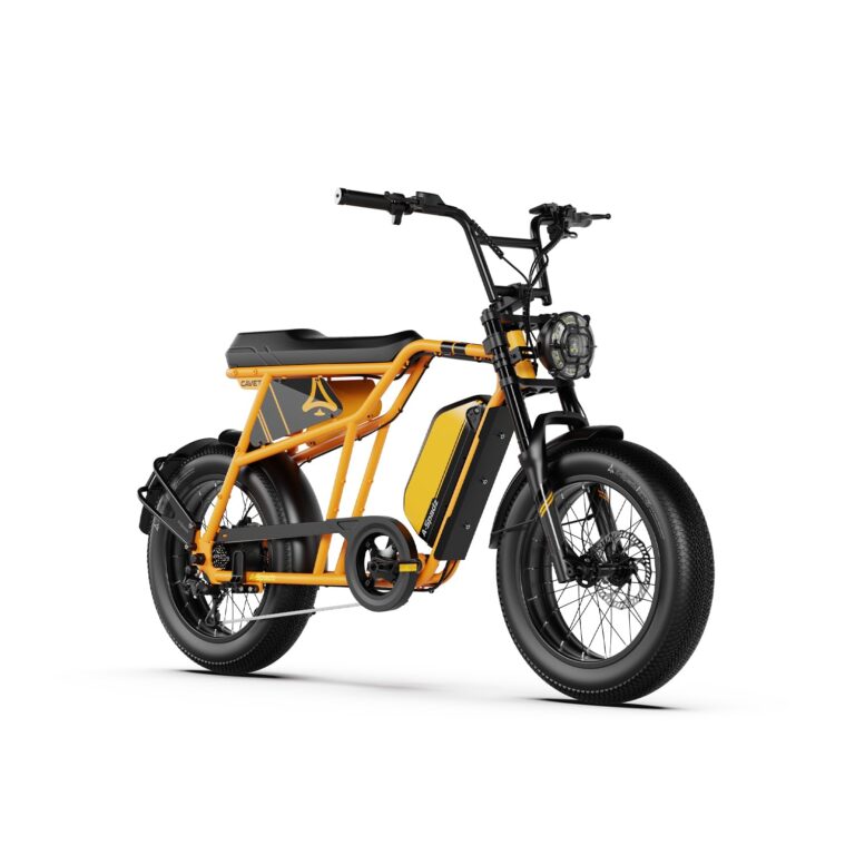 Aspadz Cavet Air Bicicletta Elettrica Fat Tire, Motore 48V 250W, Batteria 15,6Ah, Cambio a 7 Velo...