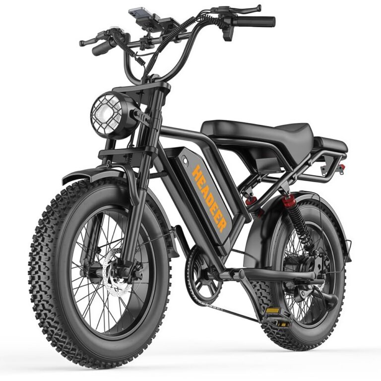 BK20 Bicicletta elettrica per adulti, 48V 20Ah, batteria rimovibile, autonomia 60-100 km, bicicletta elettrica 20 pollici,...