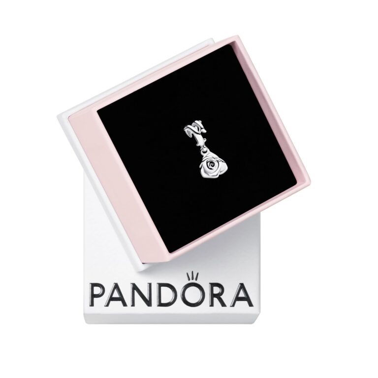 Pandora Moments - Charm collezione rosa