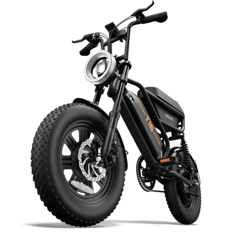 URLIFE Bicicletta Elettrica 16" x 3.0, Batteria Rimovibile da 48V 13Ah, Motore Brushless da 250W, Autonomia di 100km, Bici...