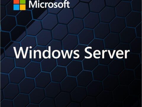 Microsoft Windows Server 2025 Standard – 1 User CAL