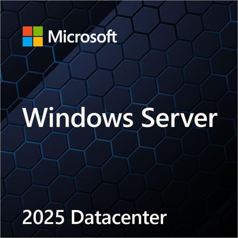 Microsoft Windows Server 2025 Standard – 1 User CAL