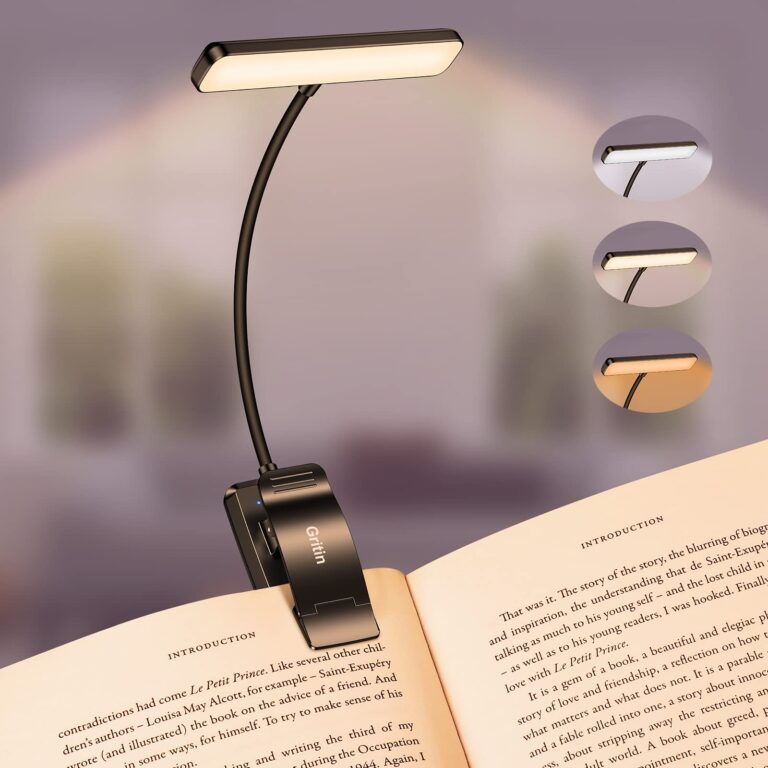 Gritin Lampada da Lettura 19 LED con Clip, Ricaricabile e 3 Temperature