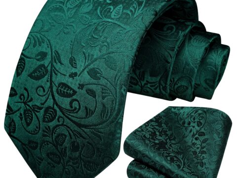 HISDERN Set Cravatta Paisley Uomo con Fazzoletto per Cerimonie