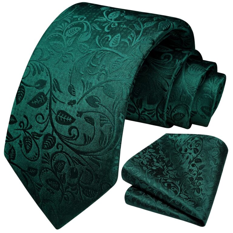HISDERN Set Cravatta Paisley Uomo con Fazzoletto per Cerimonie