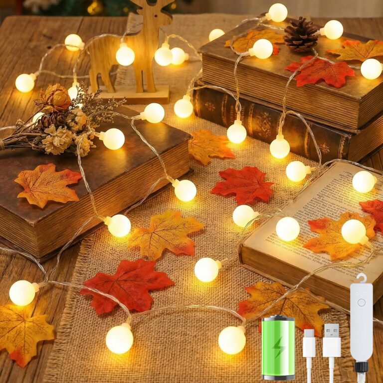 Giliwosy Catena Luminosa 10M 60 LED con USB e Batteria, 8 Modalità
