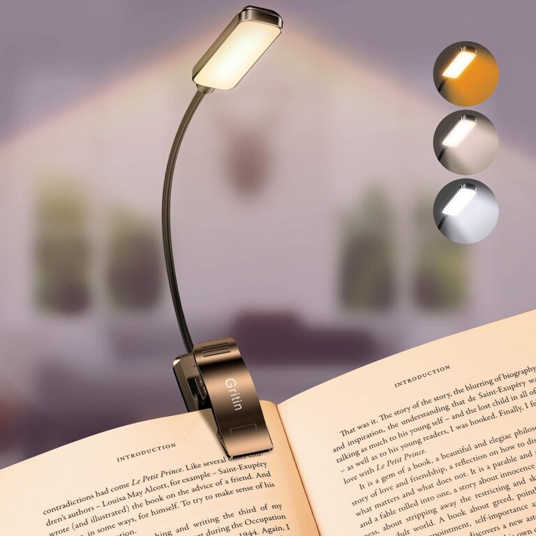 Gritin Luce da Lettura con Clip 9 LED Ricaricabile