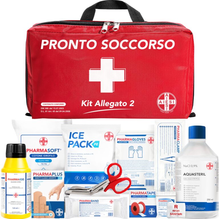 AIESI Cassetta Pronto Soccorso Allegato 2 Aziende fino a 3 Dipendenti