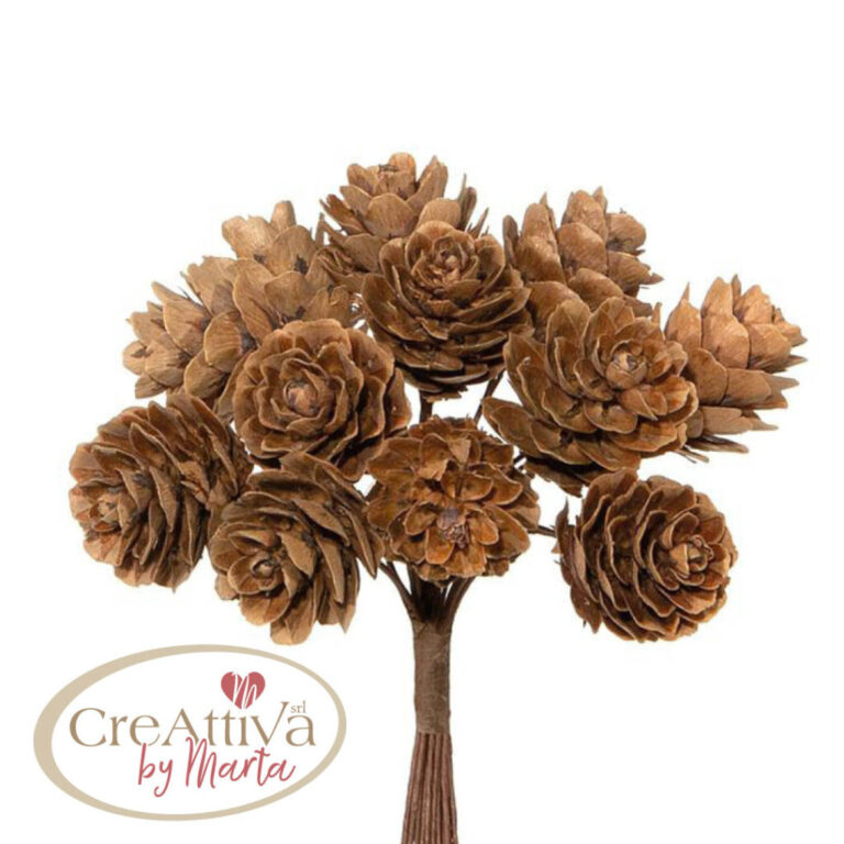 Mazzetto 12 Pigne H. 11Cm – 78Dec127