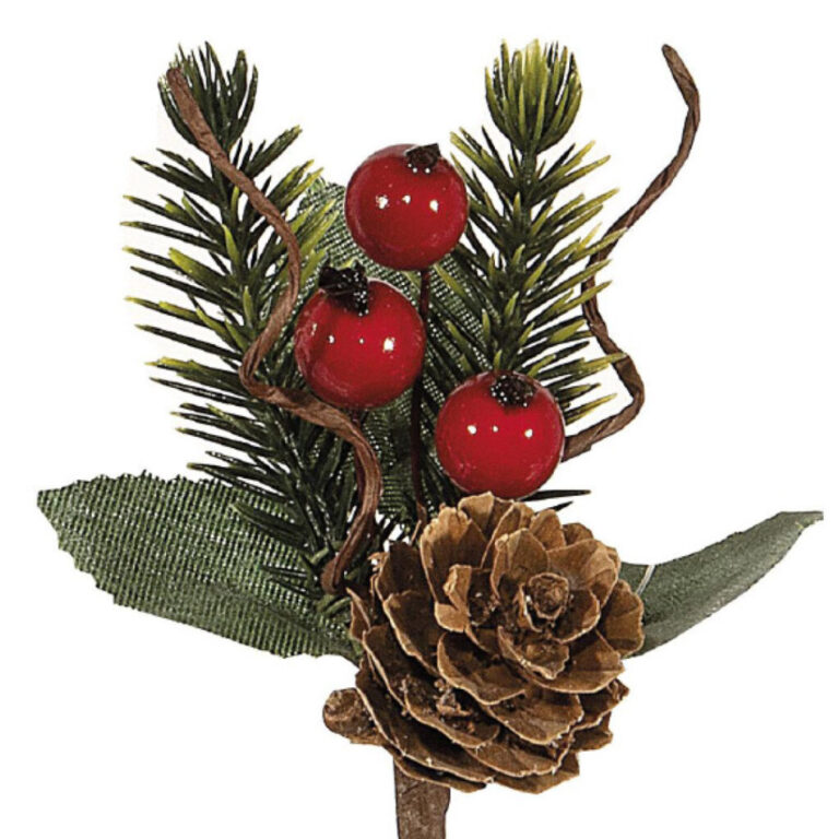 Rammeto Bacche E Pigna H.10Cm – 78Dec218