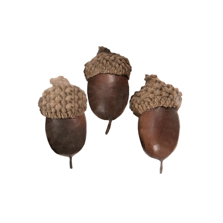 Confezione Da 10 Ghiande Naturali Decorative H4Cm – 78Dec240