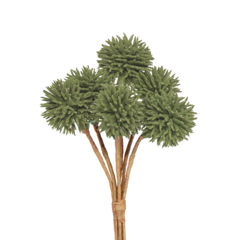 6 Bacche Spinose H 12 Cm – 78Dec250