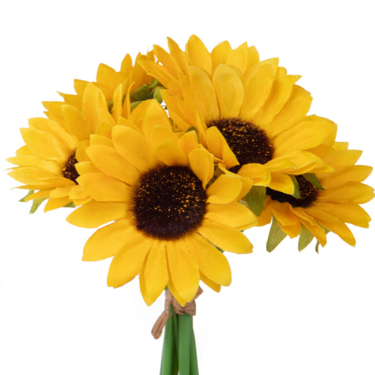 Un Girasole  22 Cm – 99Bot002
