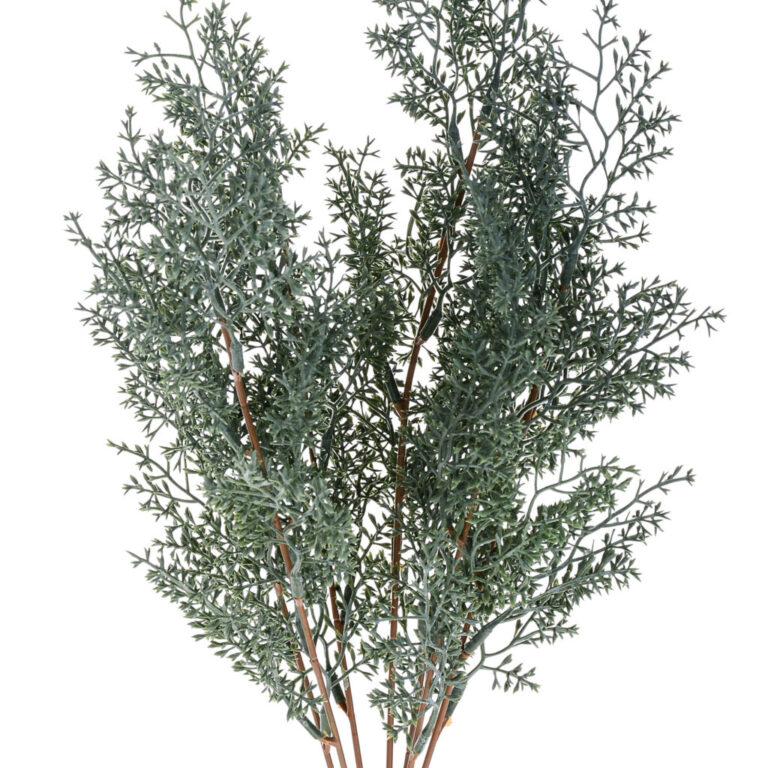 7 RAMI CIPRESSINA 46 CM  - 99BOT005