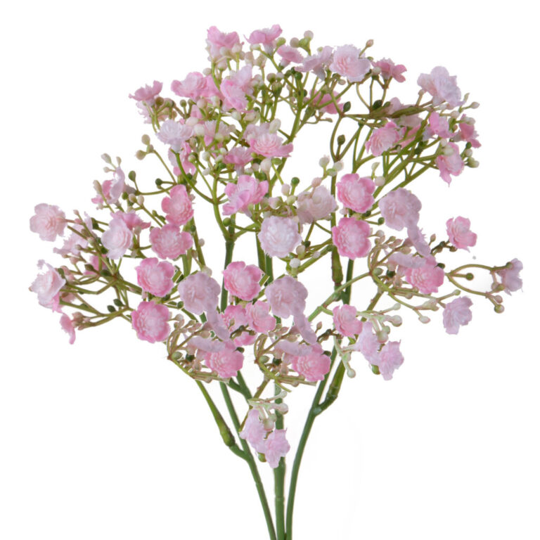Gipsophila 46Cm Doppio Petalo – 99Bot006