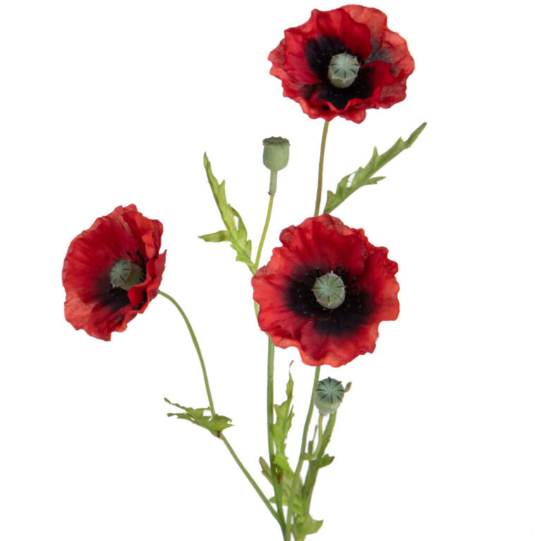 3 Papaveri Selvatici 62 Cm – 99Bot008
