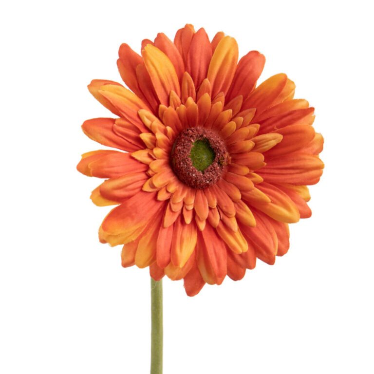 Una Gerbera 62 Cm  – 99Bot009