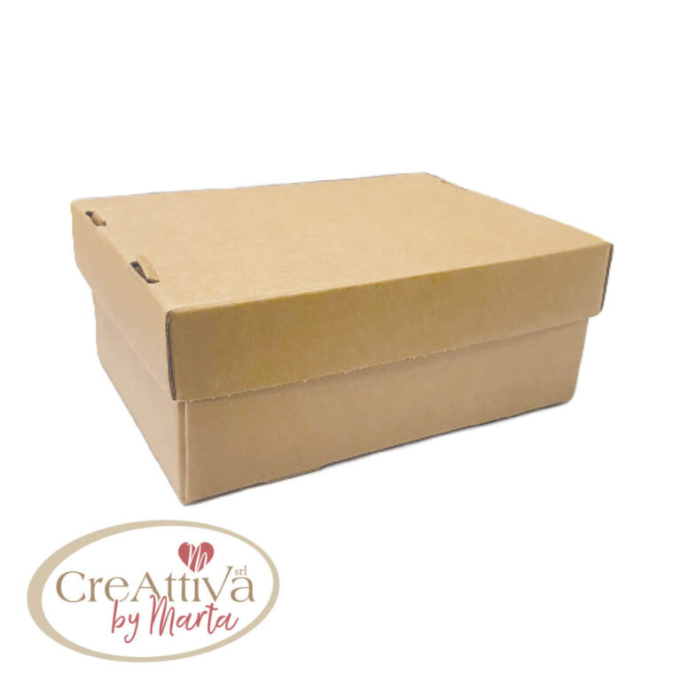 SCATOLA CARTONE CON COPERCHIO CM 35x24x10